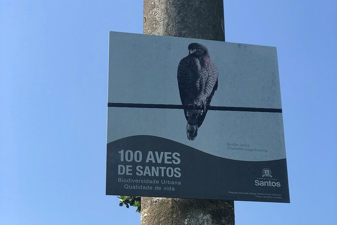 santos-walk-the-largest-beach-garden-in-the-world