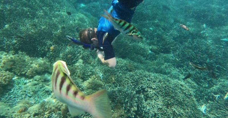 sanur-coastal-area-snorkeling-session