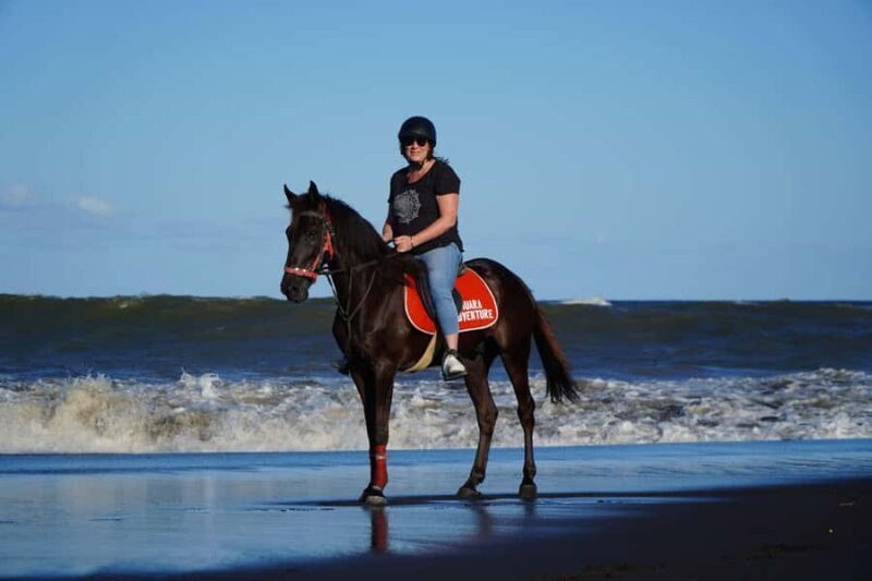 Sanur: Horse Riding at the Bali Beach 30 minute ride - Key Points