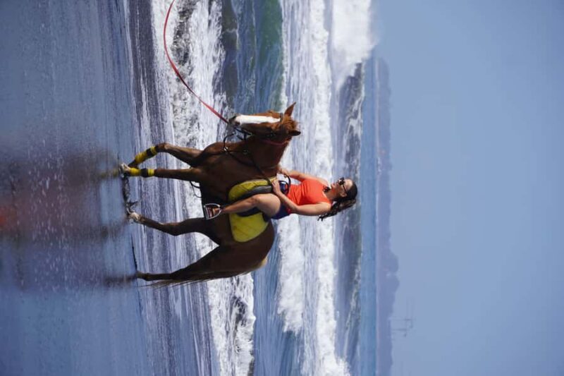 Sanur: Horse Riding at the Bali Beach 30 minute ride - What to Expect from the Sanur Horseback Ride