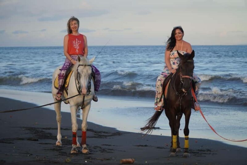 Sanur: Horse Riding at the Bali Beach 30 minute ride - Insights from Reviews
