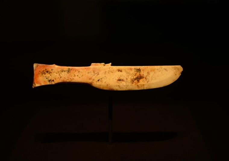 sanxingdui-museum-small-group-tour-with-optional-panda-base