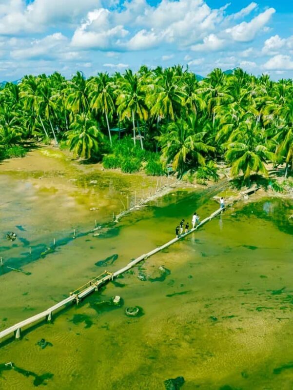 Sanya Haitang Bay Local Discovery Day Tour - Key Points