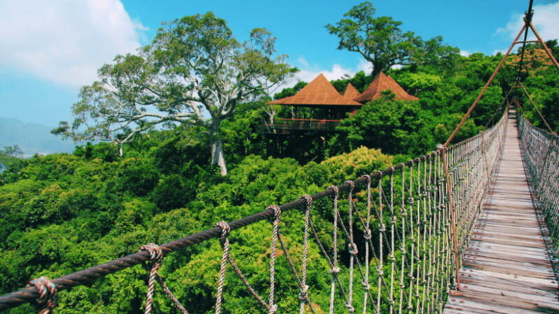 sanya-yalong-bay-tropical-forest-ticket-and-tour-car