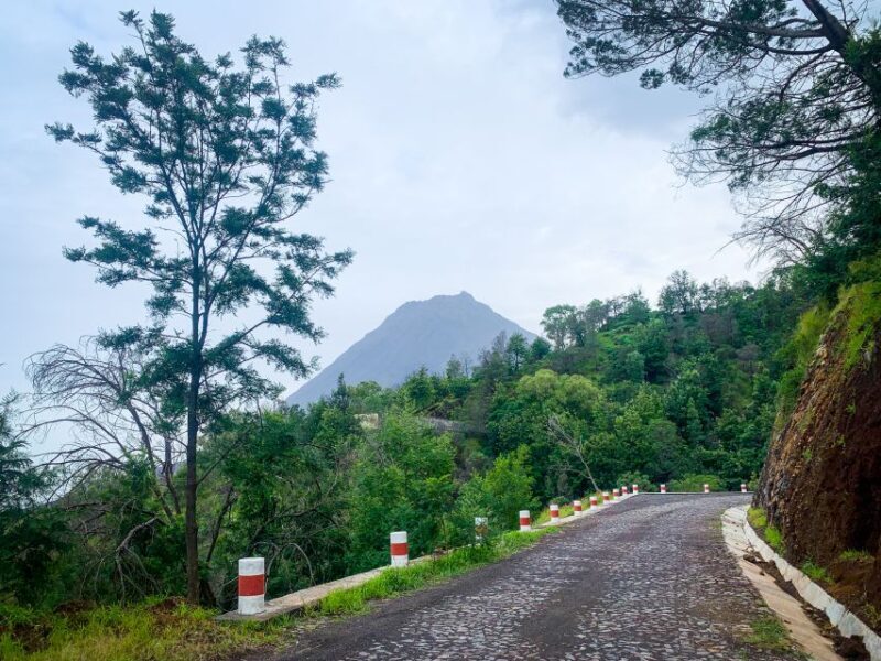 Sao Filipe: Coffee Plantation and Natural Pools Day Trip - Key Points