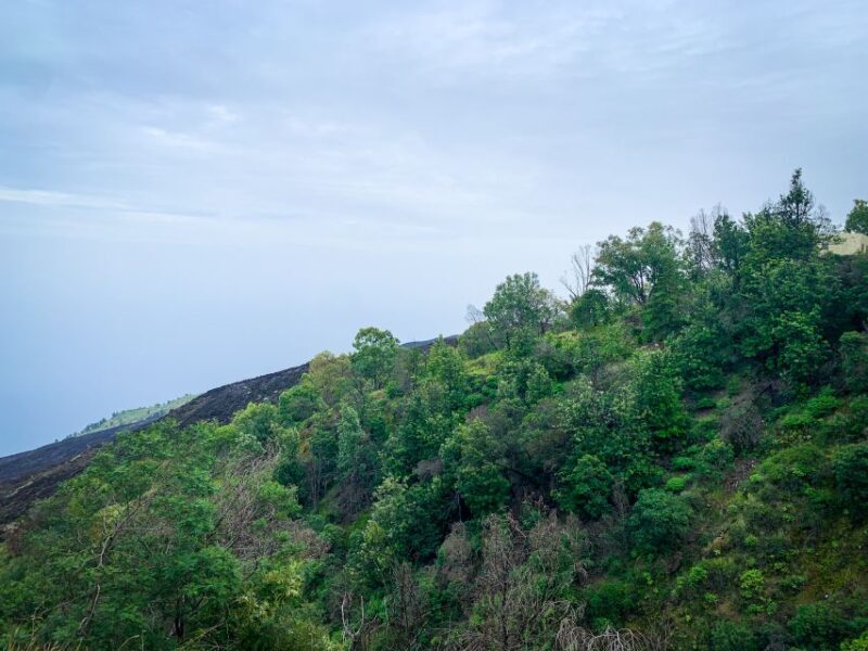 Sao Filipe: Coffee Plantation and Natural Pools Day Trip - Exploring Fogo with Bu Country Tours: What’s Included and What to Expect