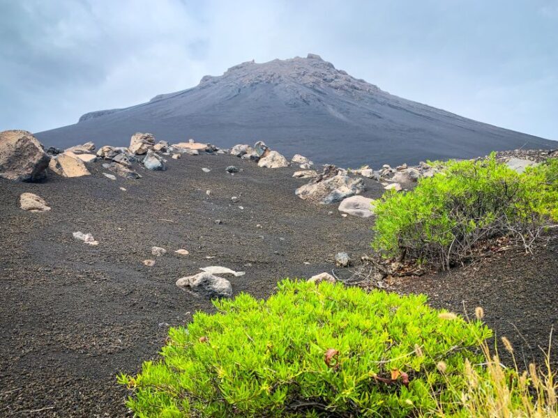 Sao Filipe: Coffee Plantation and Natural Pools Day Trip - Who Will Love This Tour?