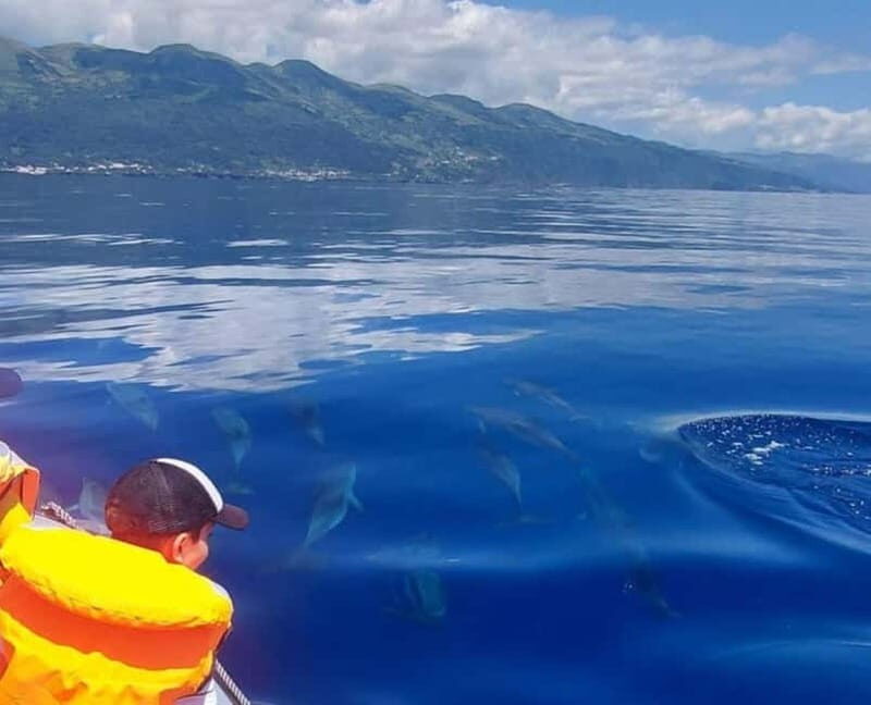 São Jorge: Boat trip with snorkeling (2 hours) - Who Will Love This Tour?