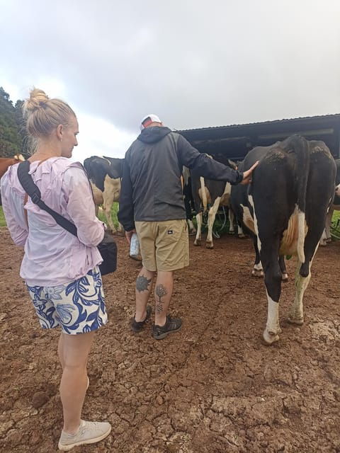 sao-jorge-cheese-tour-half-day