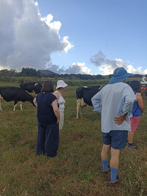 sao-jorge-cheese-tour-half-day