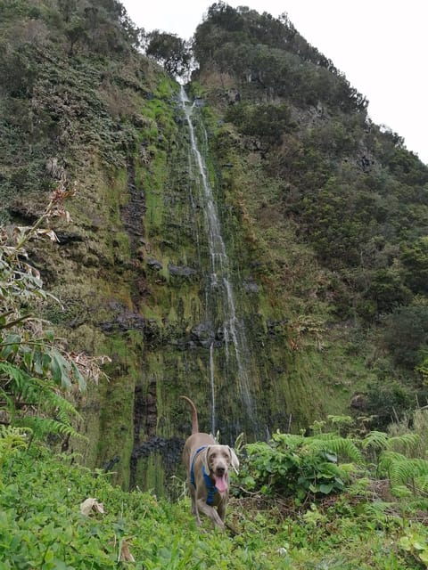 sao-jorge-faja-camping-and-hiking-tour