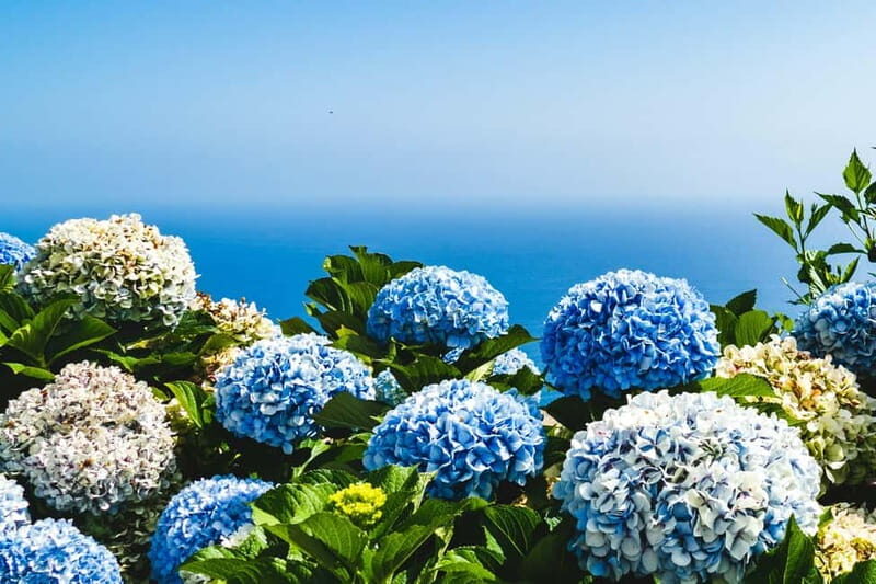 São Miguel: 2-Day Tour, A Perfect Blend of Nature & Culture - The Sum Up