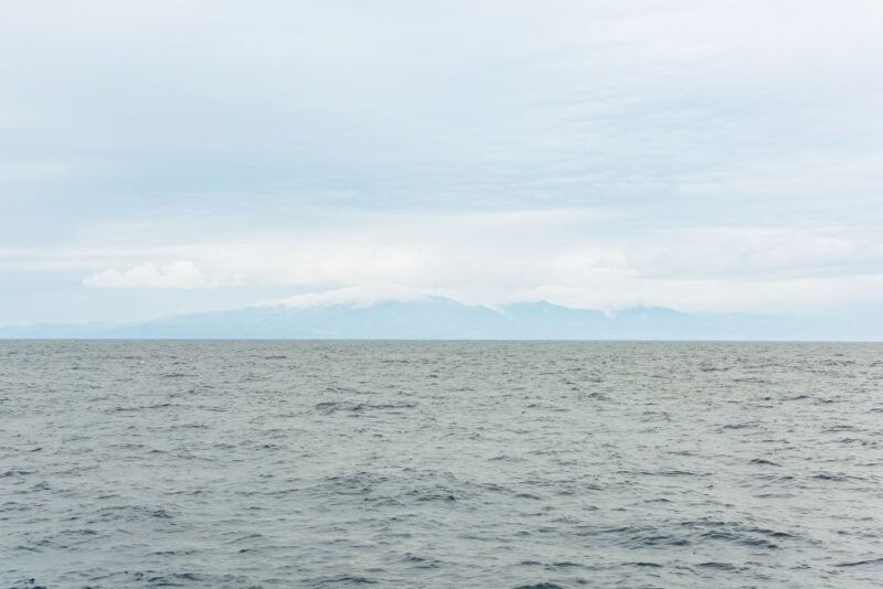 sao-miguel-azores-half-day-whale-watching-trip