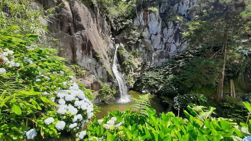 São Miguel Azores: Hike and Snorkeling with a local - A Day of Nature, Adventure, and Discovery
