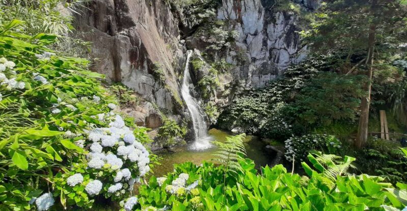 São Miguel Azores: Hike and Snorkeling with a local - FAQ