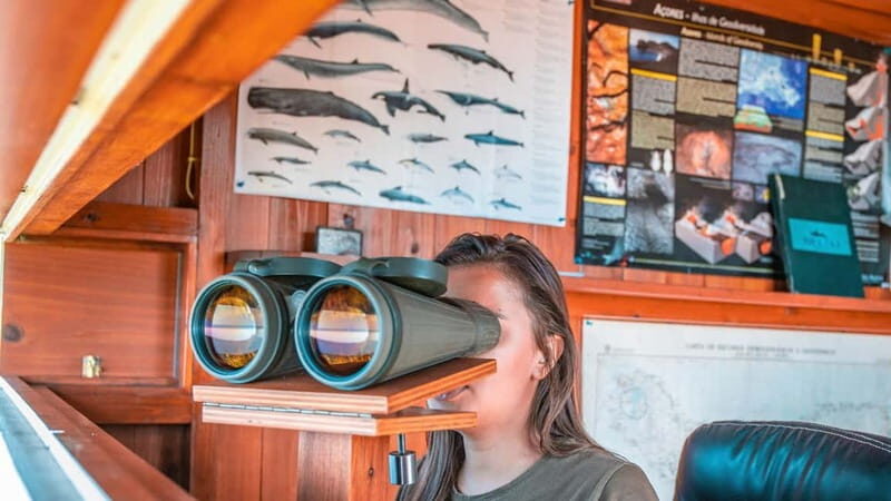 São Miguel: Azores Whaling Heritage Tour - Exploring the Tour in Detail