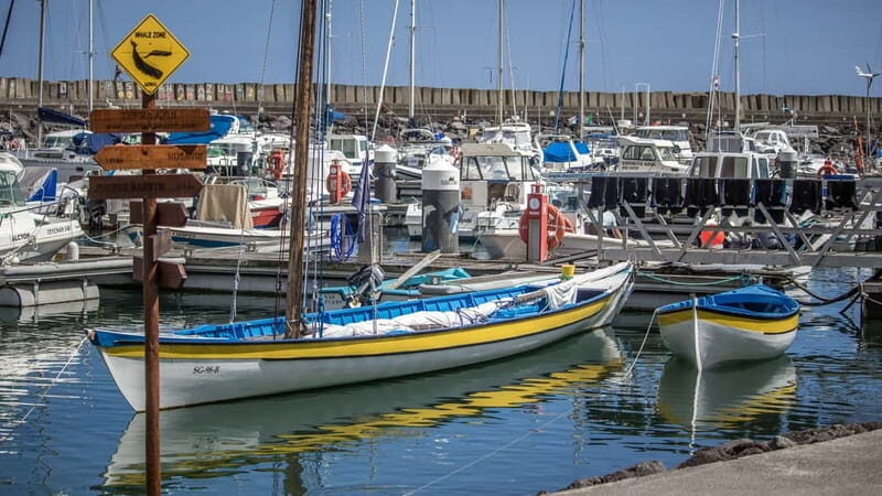 São Miguel: Azores Whaling Heritage Tour - Price and Value