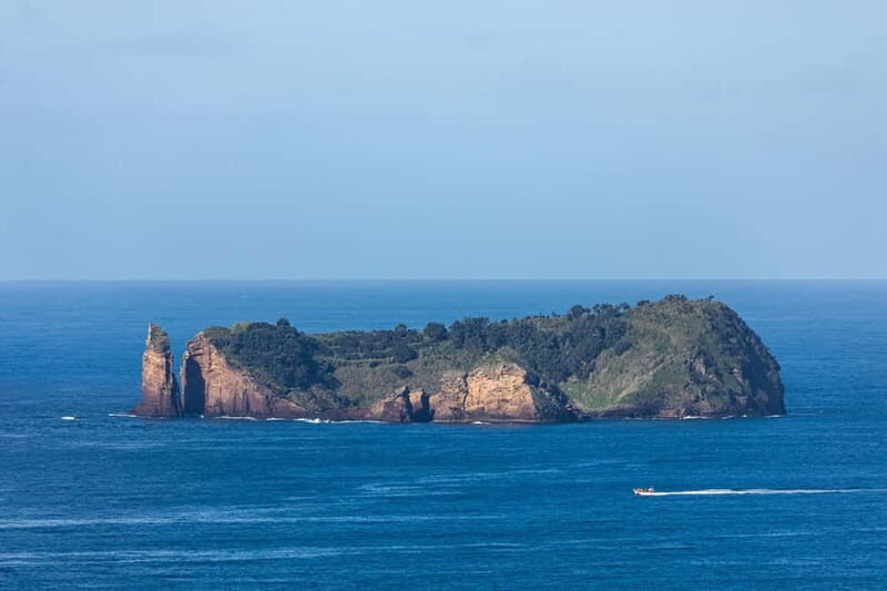 São Miguel: Azores Whaling Heritage Tour - In The Sum Up