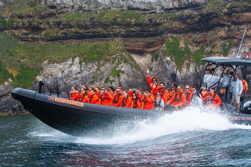 Sao Miguel: Boat Tour of the Wild & Hidden North Coast - Final Thoughts