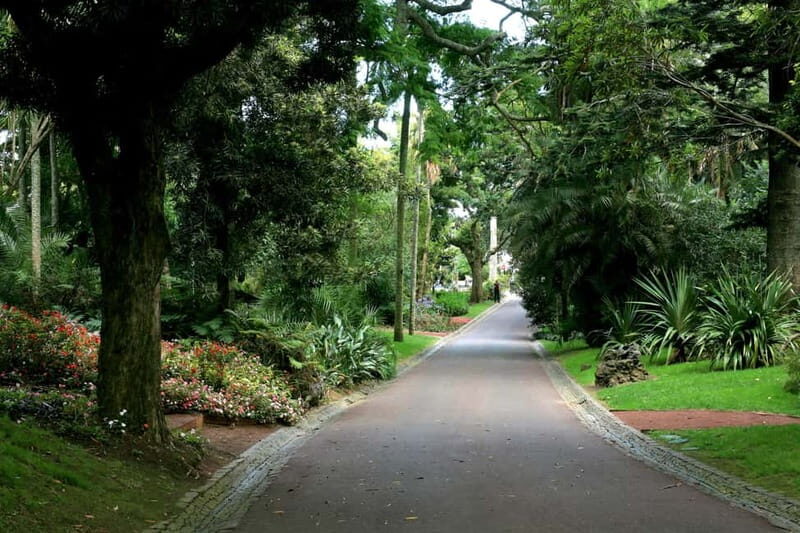 São Miguel: Botanical Gardens and Cave Tour - Discovering São Miguel: Botanical Gardens and Cave Tour — A Complete Guide