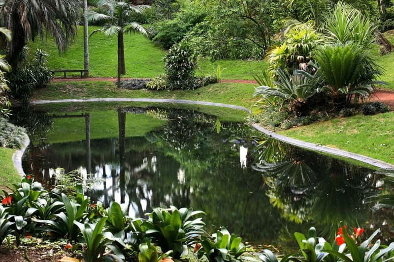 São Miguel: Botanical Gardens and Cave Tour - Key Points