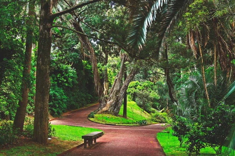 São Miguel: Botanical Gardens and Cave Tour - Practical Details and What to Expect