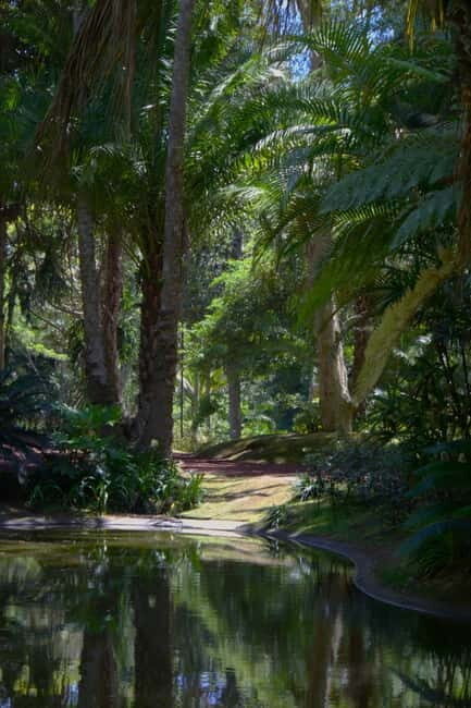 São Miguel: Botanical Gardens and Cave Tour - Why This Tour Is Worth Considering
