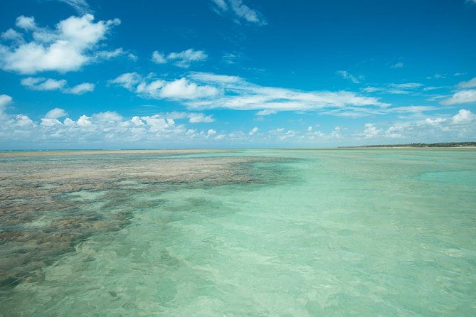 sao-miguel-dos-milagres-tour-from-maragogi-with-costazul-turismo