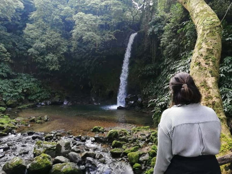 São Miguel: Enchanted Secret Waterfalls Hike, Dive, and Dine - A Detailed Look at the São Miguel Secret Waterfalls Tour