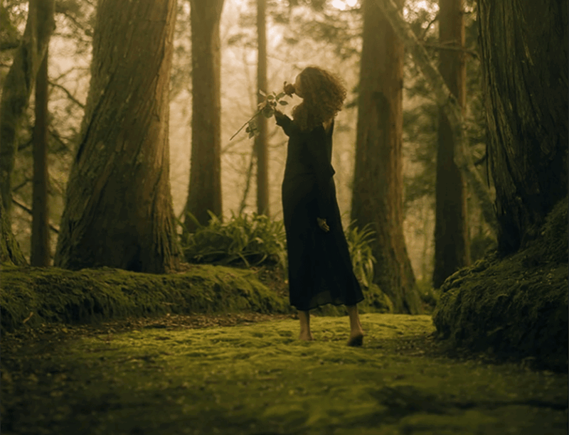 sao-miguel-enchanting-photo-session-with-katharina