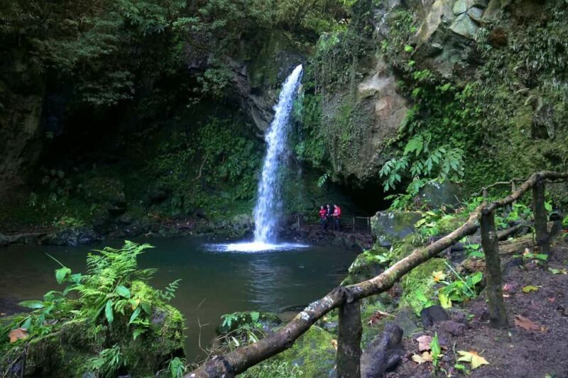 São Miguel: Félix Waterfalls Hike & North Coast Private Tour - The Félix Waterfalls and Watermills Trail