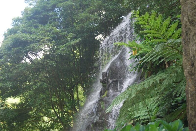 sao-miguel-full-day-nordeste-waterfall-tour-with-lunch