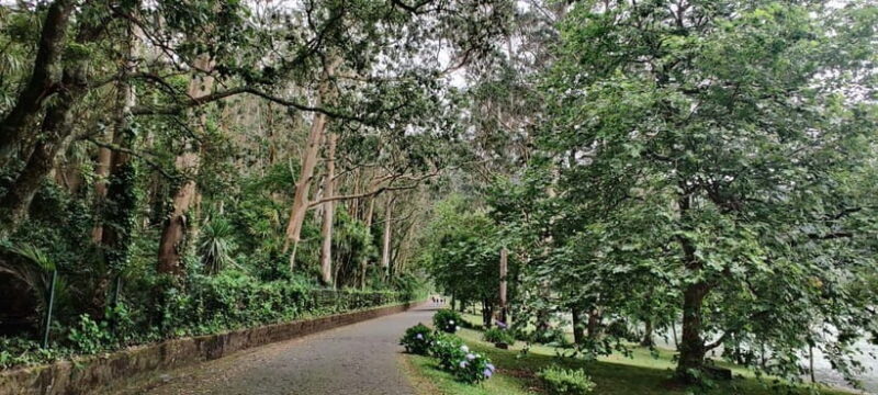 São Miguel: Furnas Valley Tour with Thermal Bath Option - Key Points