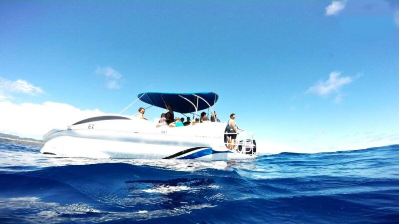 sao-miguel-glass-bottom-boat-tour-with-snorkeling