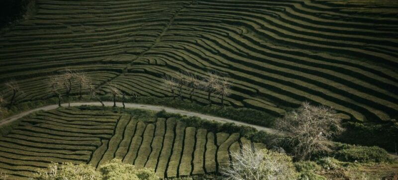 sao-miguel-iconic-furnas-volcano-nordeste-full-day-tour