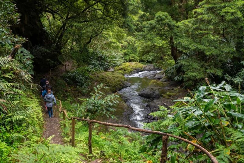 São Miguel Island: Chasing Waterfalls in the Azores Tour - A Comprehensive Look at the Waterfalls and Trails