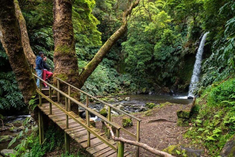 São Miguel Island: Chasing Waterfalls in the Azores Tour - Value & Price Analysis