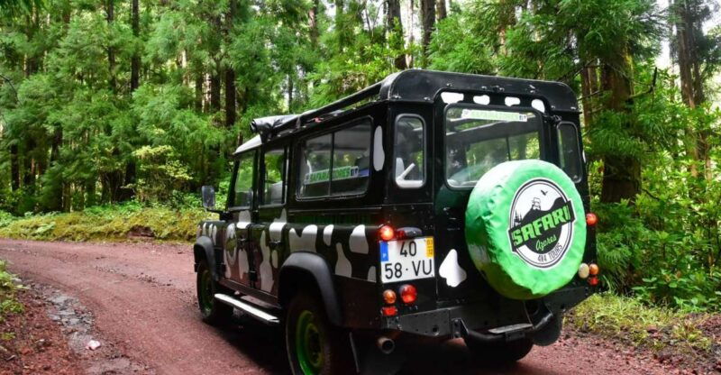 sao-miguel-island-full-day-furnas-and-furnas-lake-tour