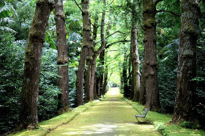 São Miguel Island: Full-Day Furnas and Vila Franca Tour - Key Points