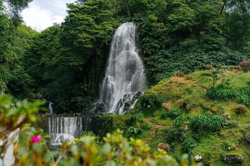 São Miguel Island: Full-Day Ribeira Park and Nordeste Tour - An In-Depth Look at the São Miguel Full-Day Ribeira Park and Nordeste Tour