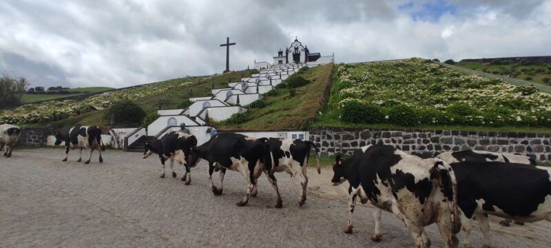 sao-miguel-island-on-jeep