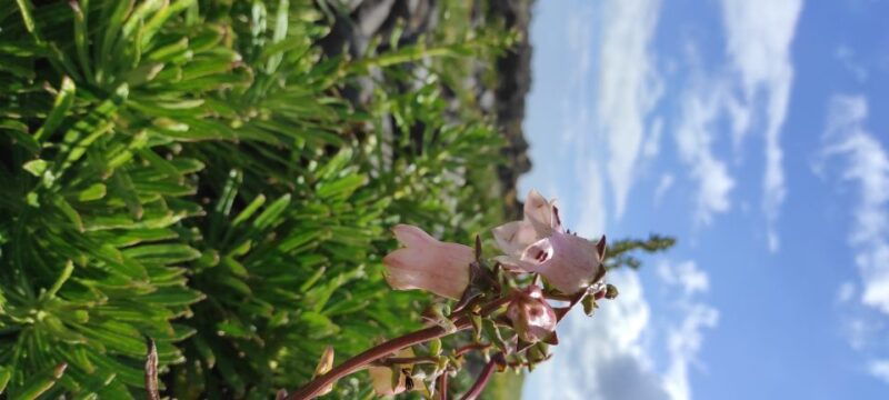 sao-miguel-island-on-jeep