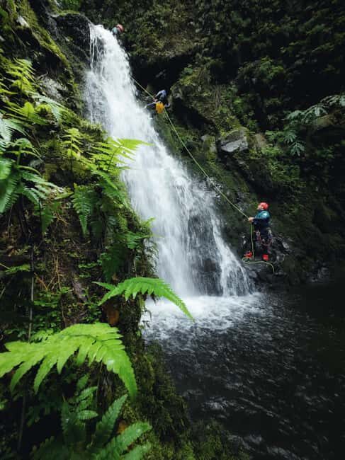 São Miguel: Level 1 Canyoning in Ribeira dos Caldeirões - What to Expect from Your Ribeira dos Caldeirões Canyoning Adventure