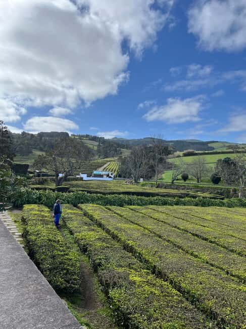 São Miguel: Nordeste Tour with Cow Milking - Key Points