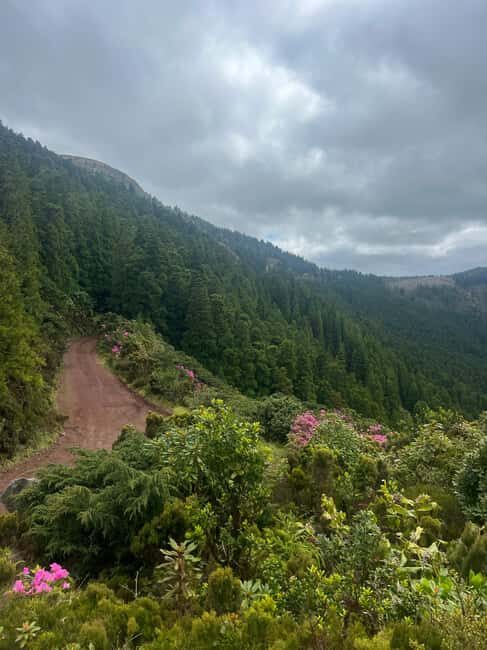 São Miguel: Nordeste Tour with Cow Milking - FAQ