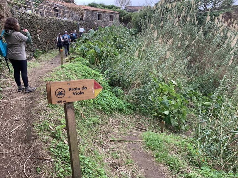 São Miguel: Private Viola Beach Hike & North Coast w/lunch - Exploring São Miguel’s Hidden Coastline: Private Viola Beach Hike & North Coast with Lunch