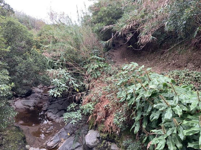 São Miguel: Private Viola Beach Hike & North Coast w/lunch - Coastal Charm and Relaxation