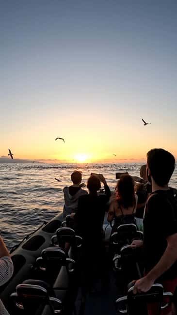 São Miguel: Sunset Boat Tour  Golden Light, Cliffs & Caves - São Miguel: Sunset Boat Tour – Golden Light, Cliffs & Caves