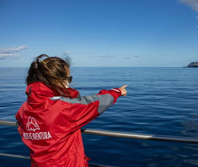 São Miguel: Swim with Wild Dolphins in the Open Ocean - FAQs