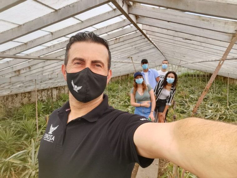 sao-miguel-west-sete-cidades-and-fogo-tour-with-lunch